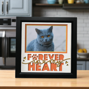 Special Memories Photo Frame