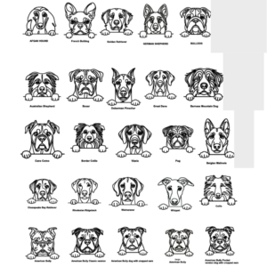 Personalised Pet Treat Jar - Image 4