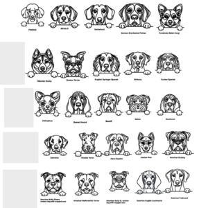 Personalised Pet Treat Jar - Image 5
