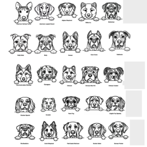 Personalised Pet Treat Jar - Image 6