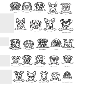 Personalised Pet Treat Jar - Image 7